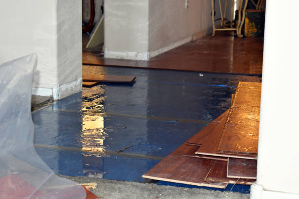 Professional Sewage Cleanup technician working in Wood River Junction, RI